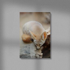 allatok-014-vaszon-negyzet Állatok #014