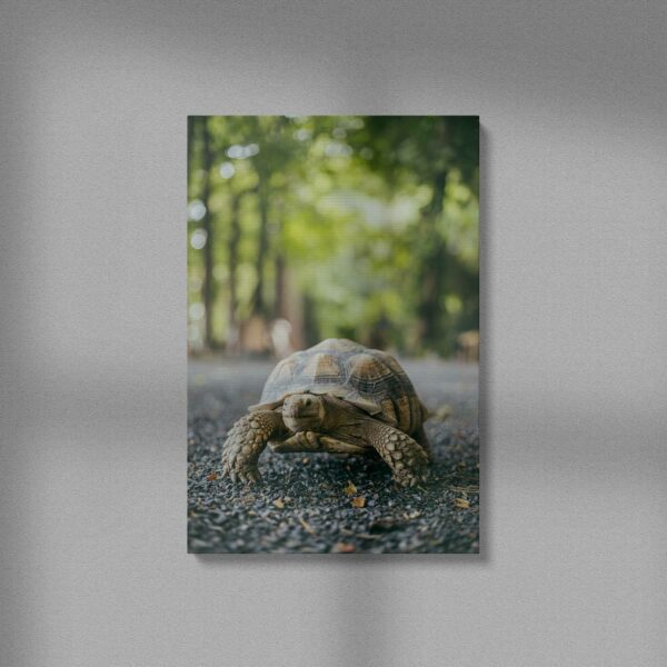 allatok-017-vaszon-negyzet Állatok #017