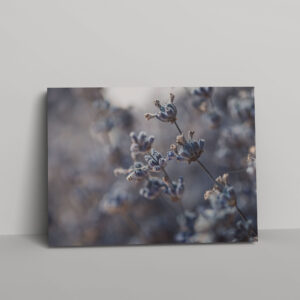 termeszet-002-vaszon-negyzet Természet #002