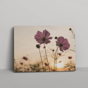 termeszet-004-vaszon-negyzet Természet #004