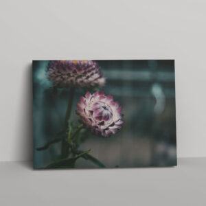 termeszet-011-vaszon-negyzet Természet #011