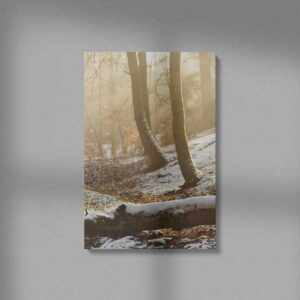 termeszet-016-vaszon-negyzet Természet #016